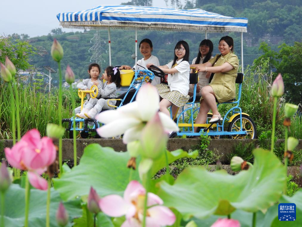 花“漾”夏日