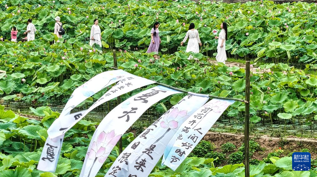 花“漾”夏日