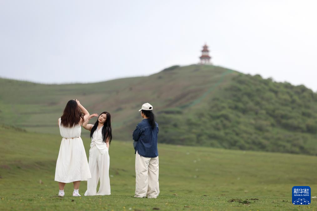 甘肃：夏日狼渡湿地草原