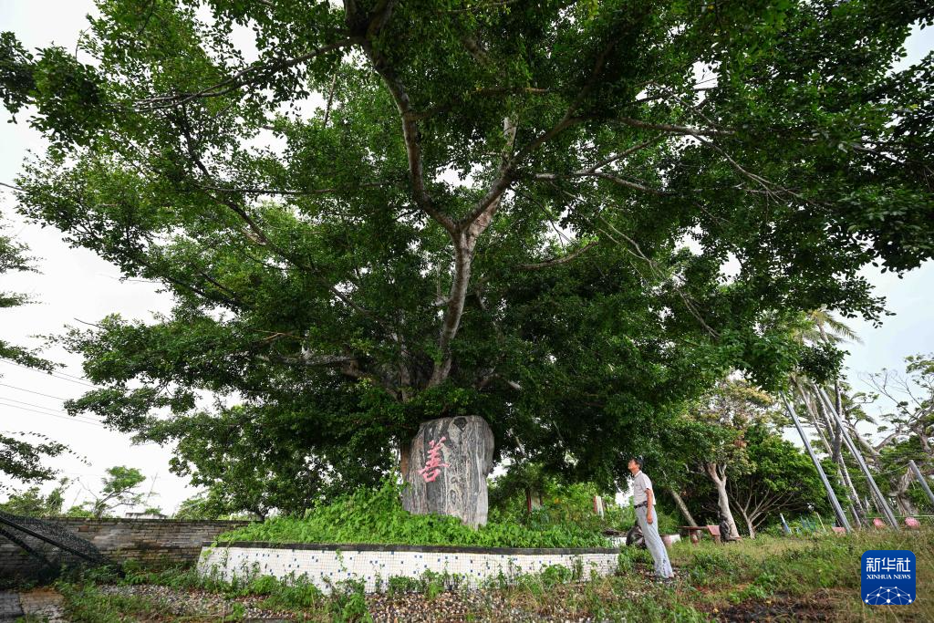 海南加美村：贤士故里 诗意栖居