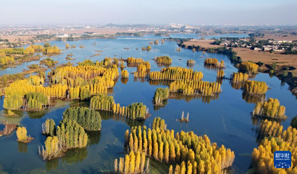 河北隆尧：初冬泜河风光秀美