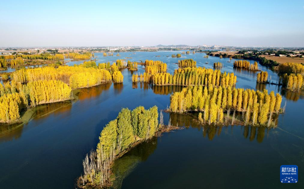 河北隆尧:初冬泜河风光秀美