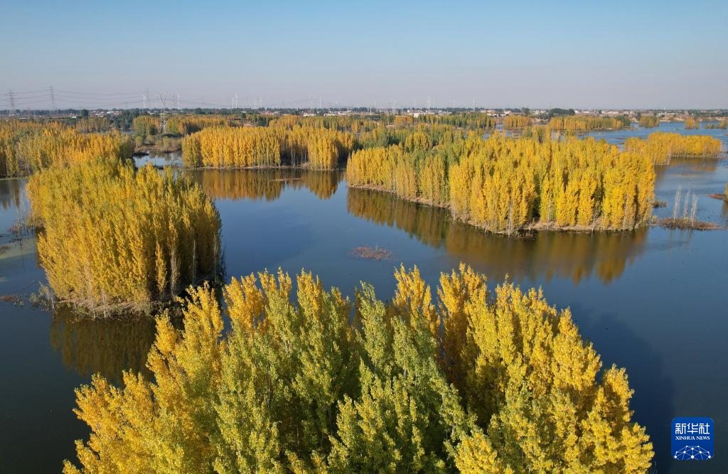 河北隆尧:初冬泜河风光秀美