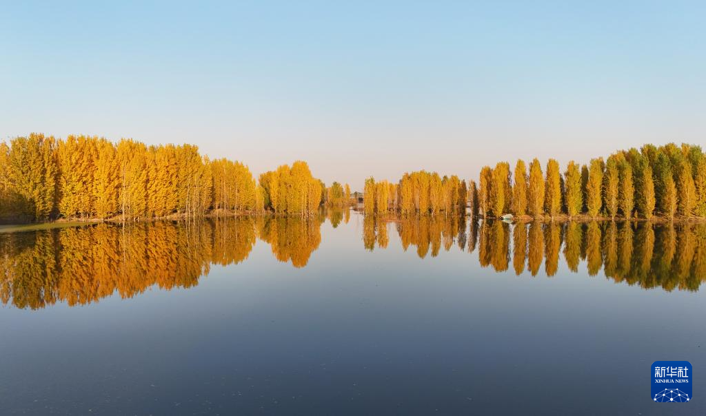 河北隆尧:初冬泜河风光秀美