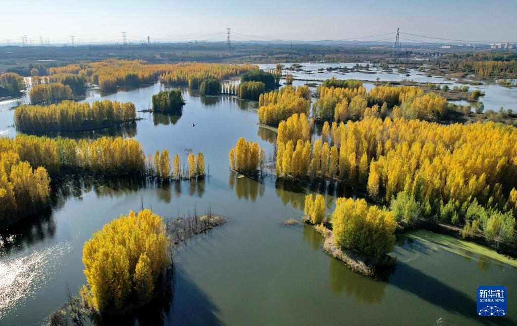 河北隆尧:初冬泜河风光秀美