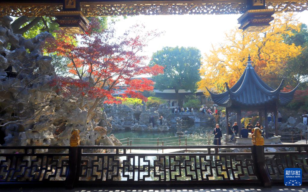 冬林不寂 色彩未眠