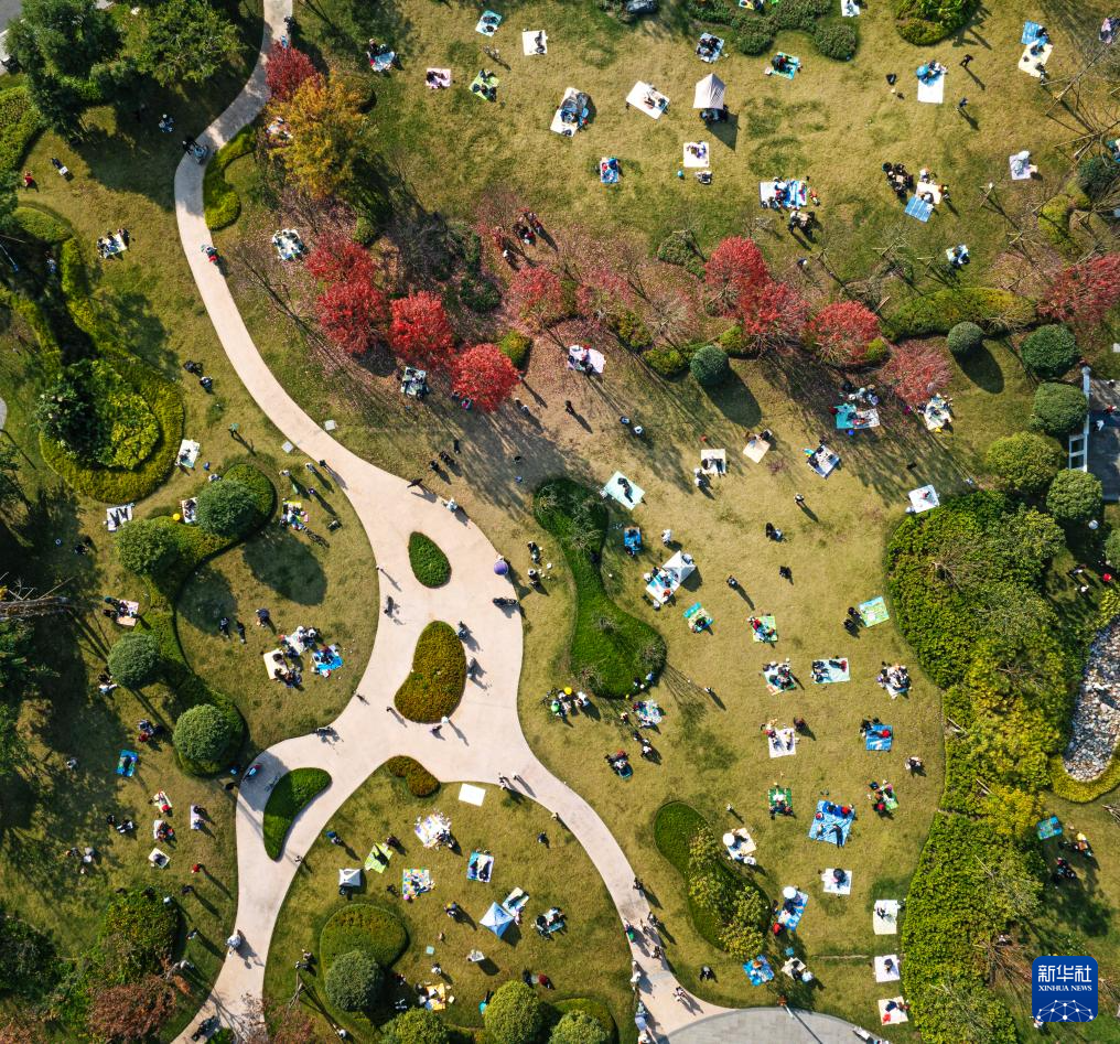 冬林不寂 色彩未眠