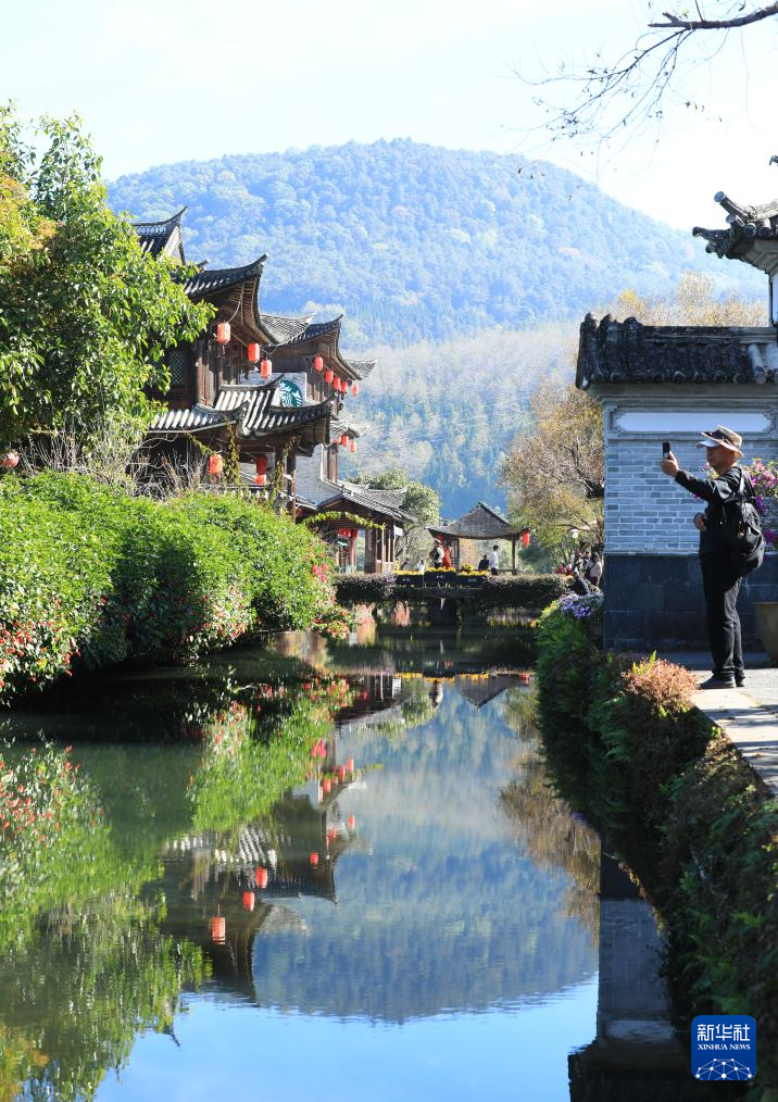 冬林不寂 色彩未眠