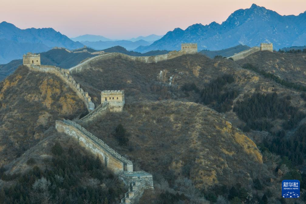 冬林不寂 色彩未眠