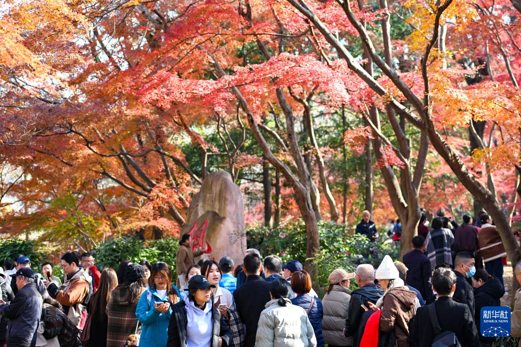 冬林不寂 色彩未眠
