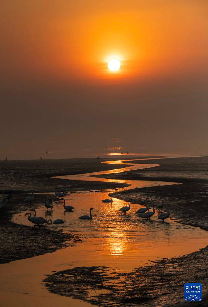 冬林不寂 色彩未眠