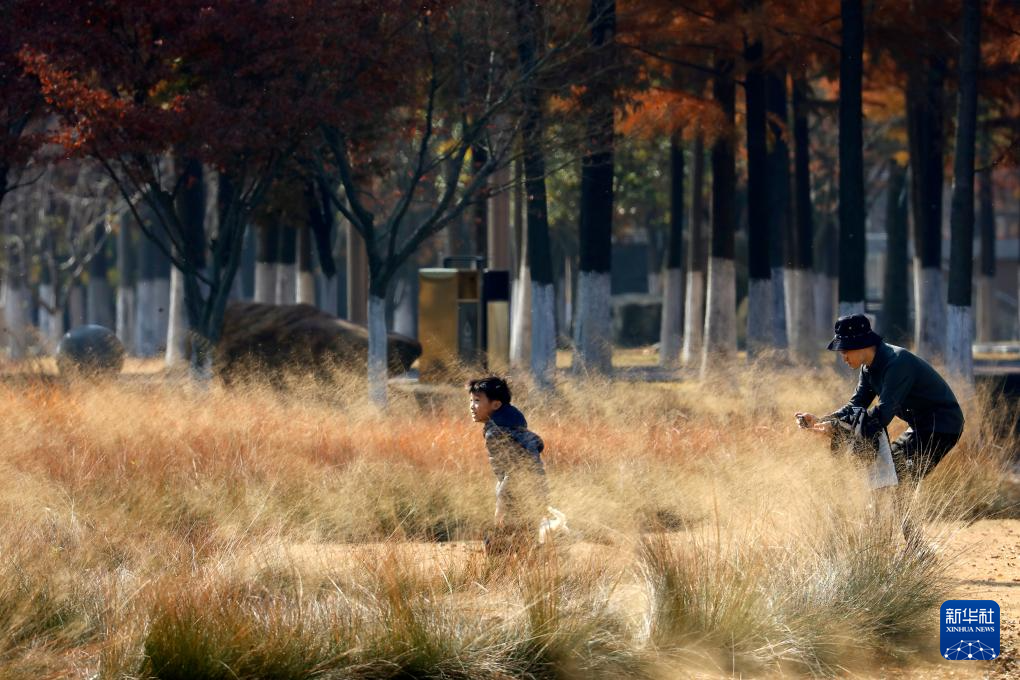 冬林不寂 色彩未眠