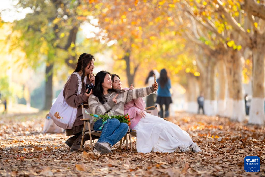 冬林不寂 色彩未眠