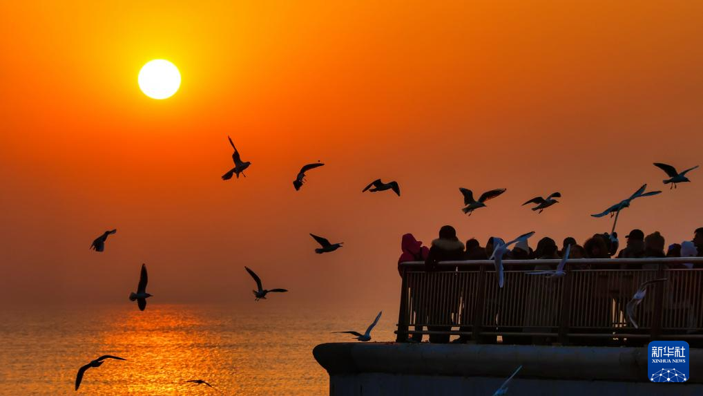 天津：候鸟翔集津门
