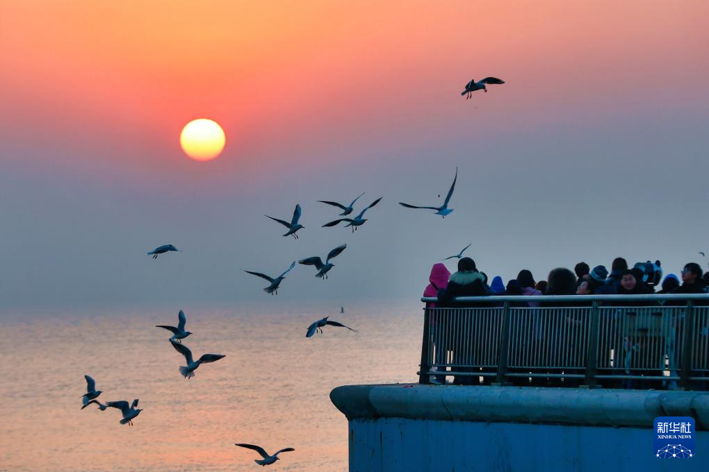 天津：候鸟翔集津门