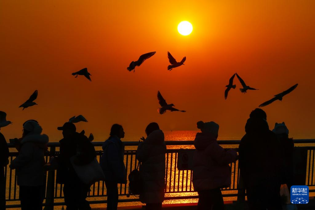 天津：候鸟翔集津门