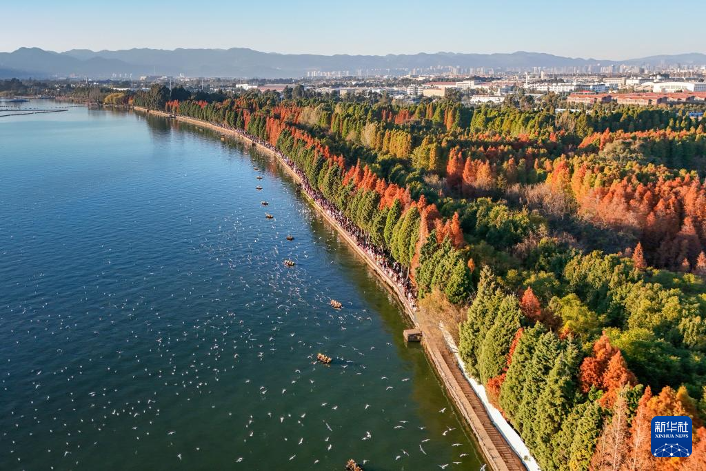 滇池：美景如画引客来