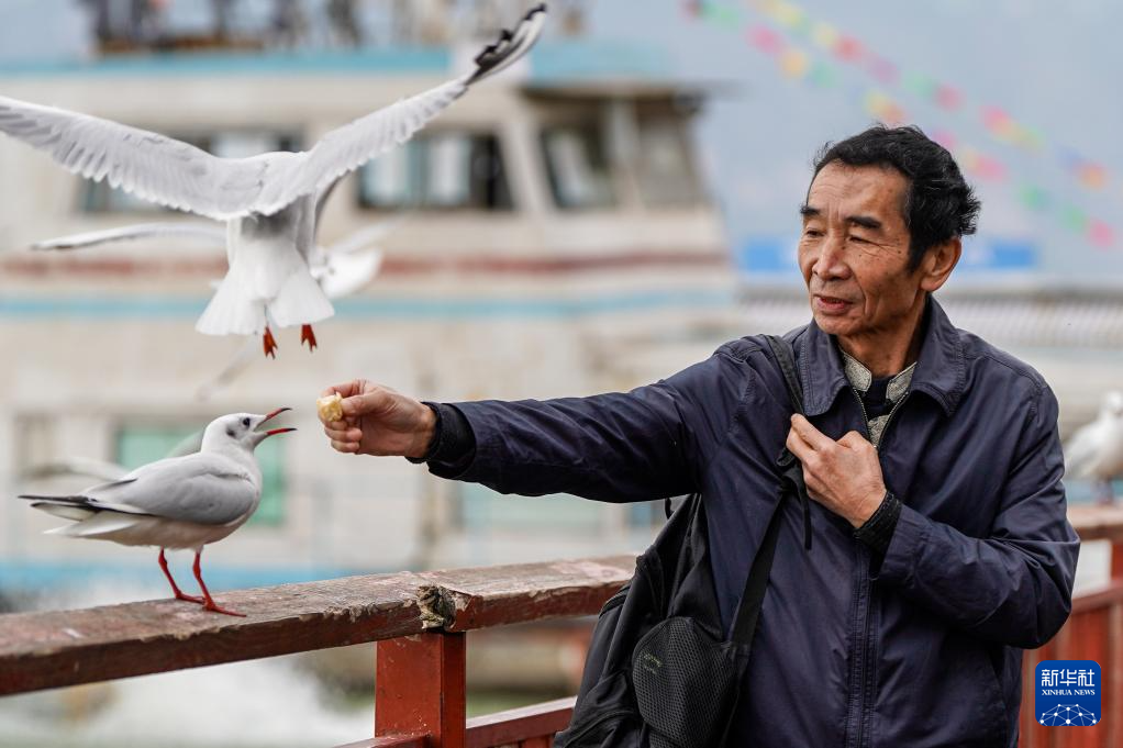 滇池：美景如画引客来