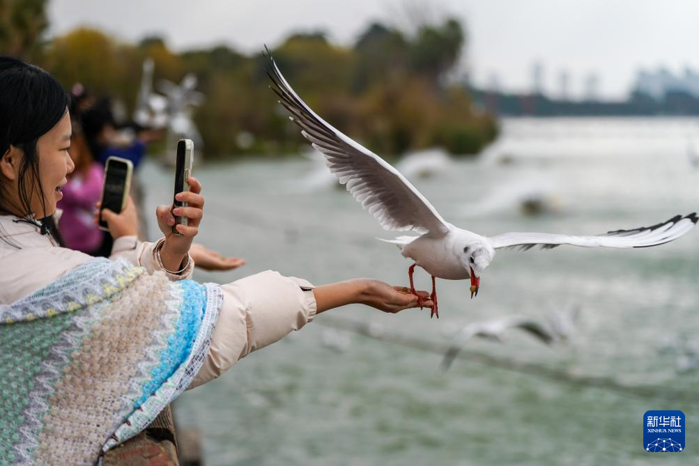 滇池：美景如画引客来