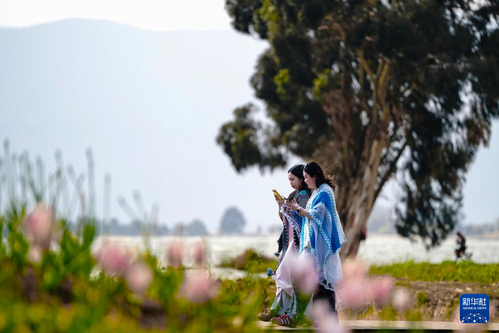 春日滇池引客来