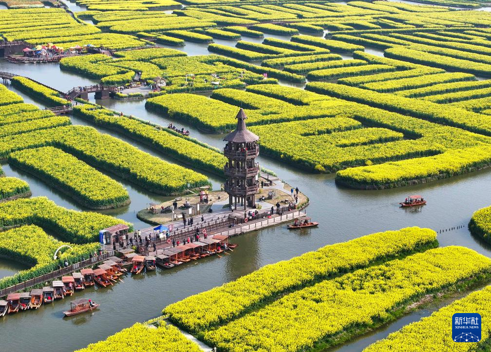 江苏兴化:千垛花海引客来