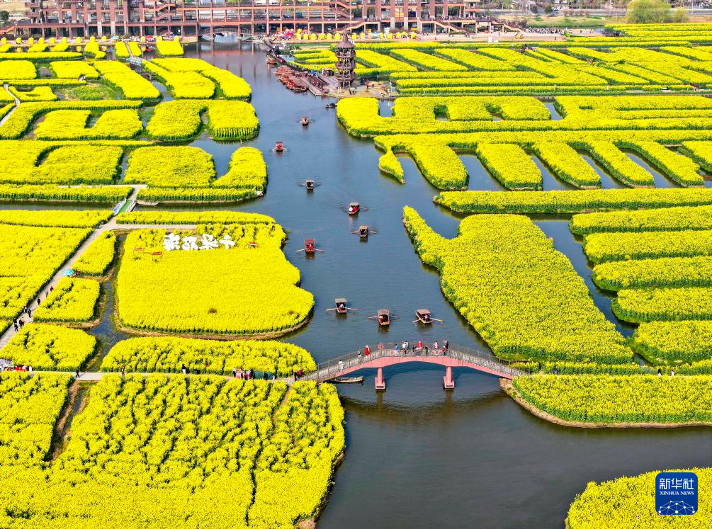 江苏兴化:千垛花海引客来