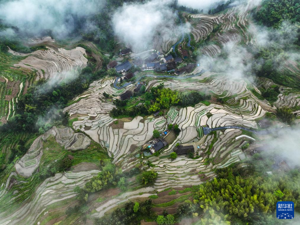 湖南新化:雾漫古梯田