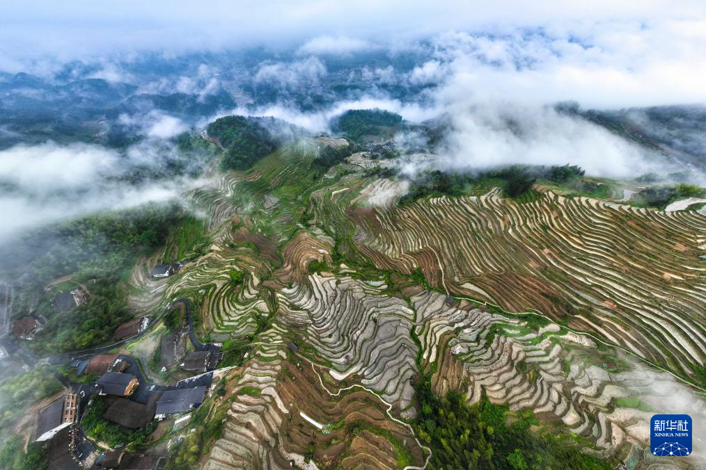 湖南新化:雾漫古梯田