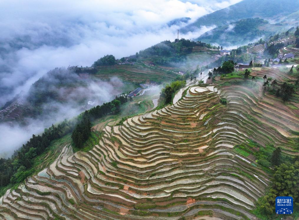 湖南新化:雾漫古梯田
