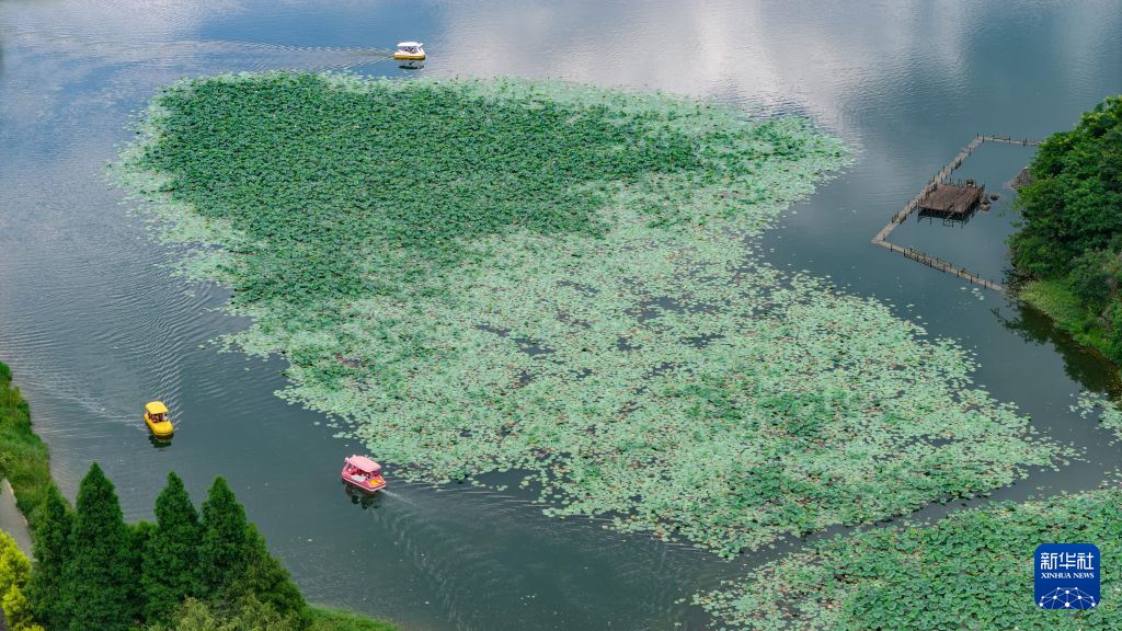 彩云之南:暑期喜迎八方客