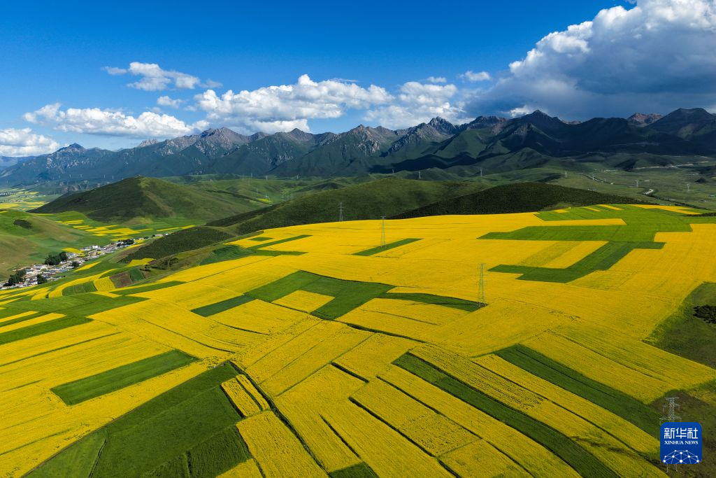夏日多彩高原